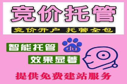 某大型企业利用信息流代理提升数据效率的实践